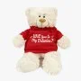 Teddy Bear in Red Hoodie "Will you be my Valentine?" by Fay Lawson