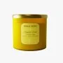 Tropical Fruit Candle by Purely Scent