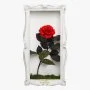Wall Frame Single Rose -  White Frame by Forever Rose London