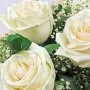 The White Fantasy Roses Arrangement