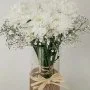 White Chrysanthemums Vase