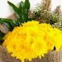 Yellow Chrysanthemum Hand Bouquet