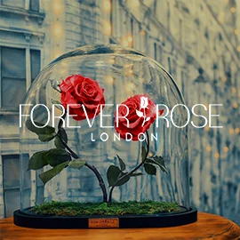 Forever Rose London